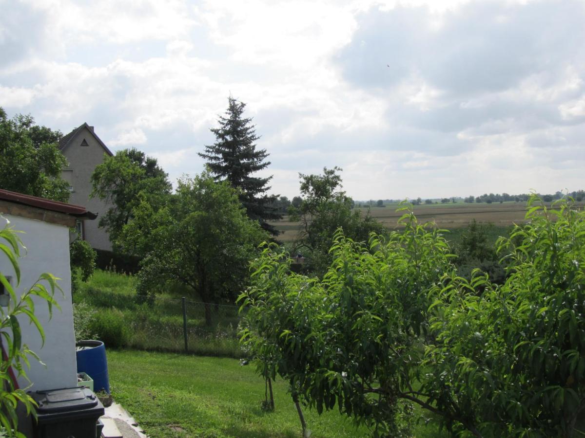 Zum Wiesengrund Im Oderbruch Altglietzen Kültér fotó