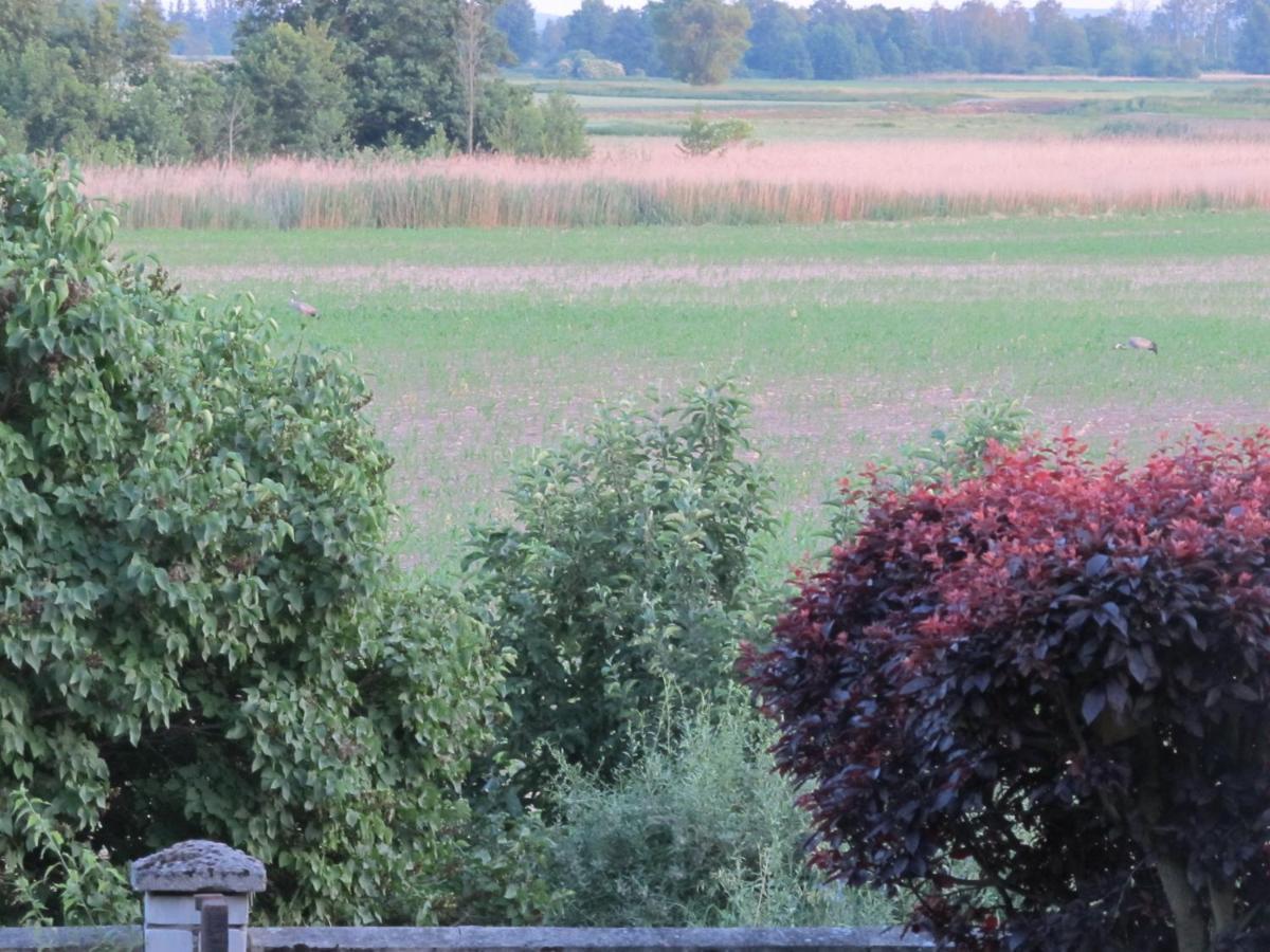 Zum Wiesengrund Im Oderbruch Altglietzen Kültér fotó