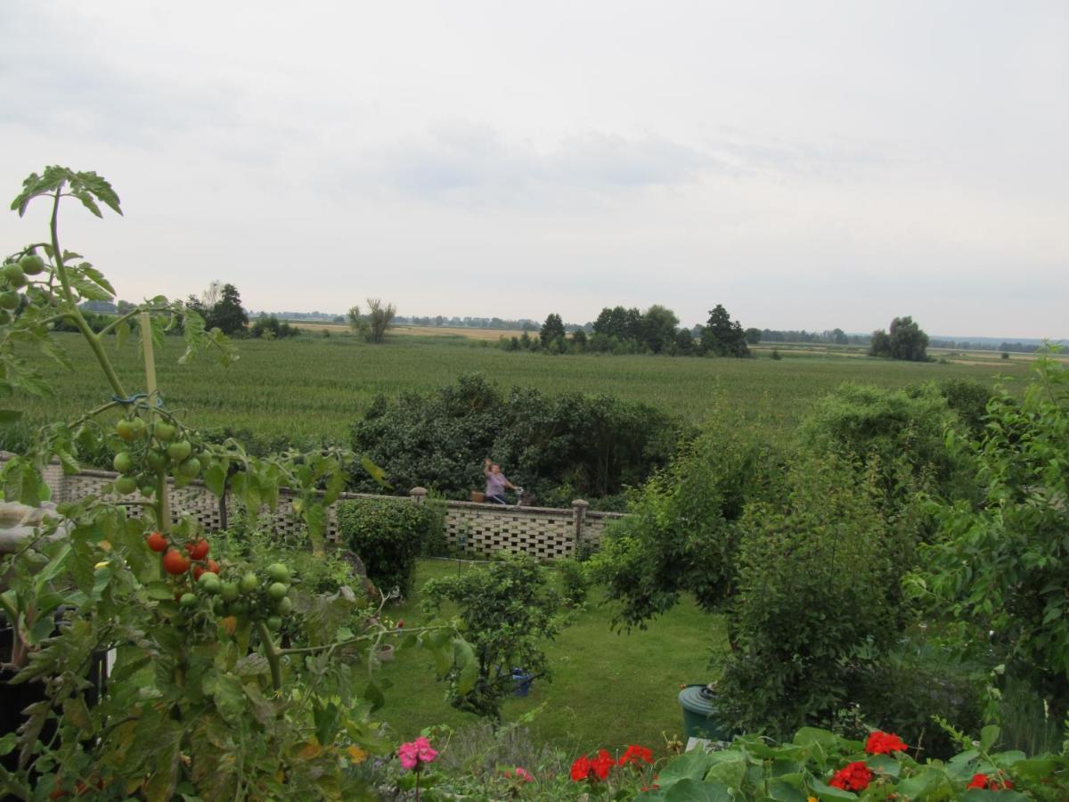 Zum Wiesengrund Im Oderbruch Altglietzen Kültér fotó