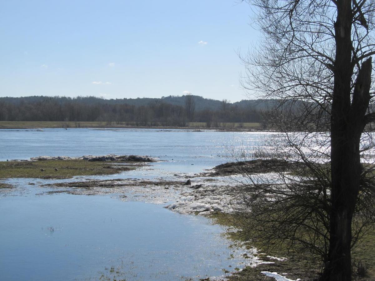 Zum Wiesengrund Im Oderbruch Altglietzen Kültér fotó